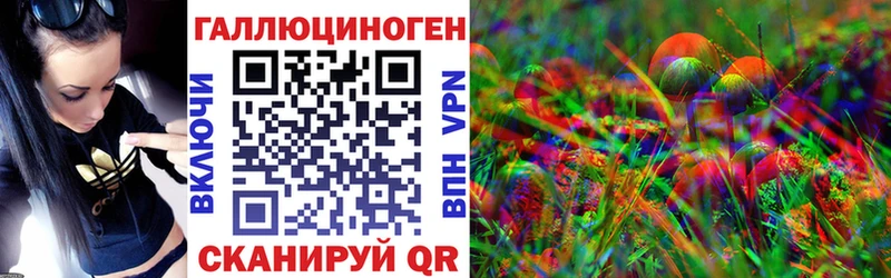 kraken зеркало  купить  цена  Ува  Галлюциногенные грибы Psilocybine cubensis 